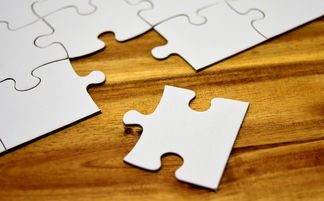 开云网站-乌度卡赛后点名三处细节失误篮板与退防,乌度卡 棍子